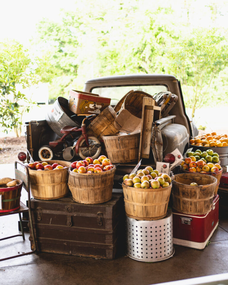 Vintage pick-up truck surrounded by baskets of fresh produce at Biggers Market Wilmington, NC