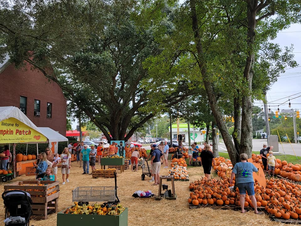 People walking around Wesley Methodist Church, home to one of our favorite pumpkin patches in Wilmington, NC area