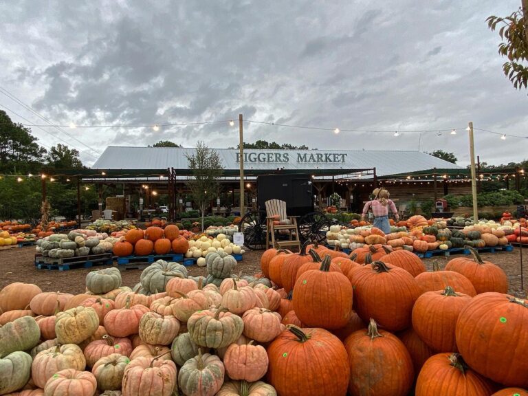exterior of Biggers Market, one of our favorite pumpkin patches in Wilmington, NC area