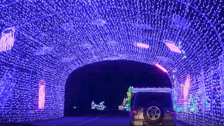 Christmas lights tunnel at the Great Christmas Light Show in Myrtle Beach, SC