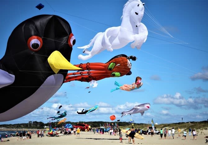 Cape Fear Kite Festival